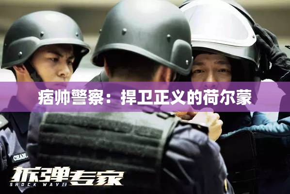 痞帅警察：捍卫正义的荷尔蒙