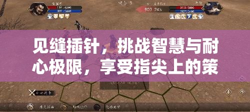 见缝插针，挑战智慧与耐心极限，享受指尖上的策略盛宴