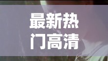 最新热门高清 xnxx videos 精彩不容错过