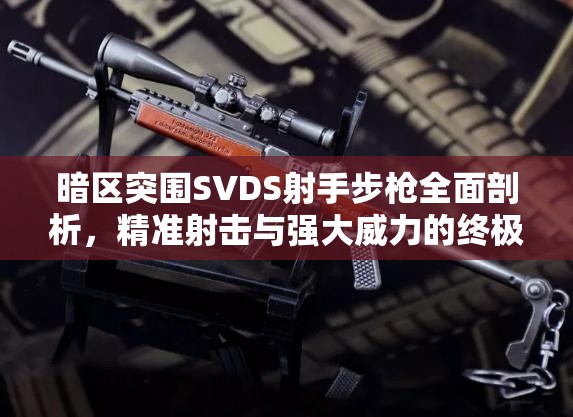 暗区突围SVDS射手步枪全面剖析，精准射击与强大威力的终极融合