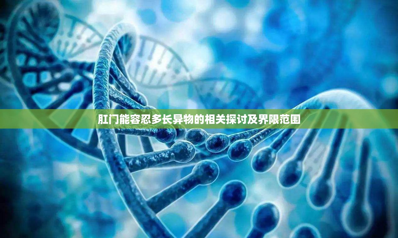 肛门能容忍多长异物的相关探讨及界限范围