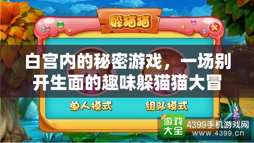 白宫内的秘密游戏，一场别开生面的趣味躲猫猫大冒险