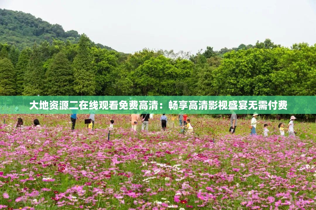 大地资源二在线观看免费高清：畅享高清影视盛宴无需付费