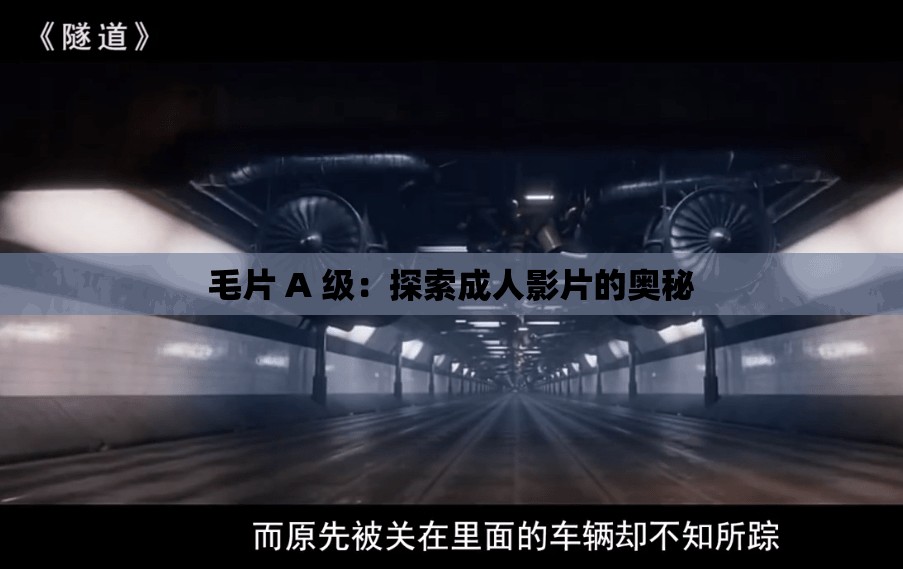 毛片 A 级：探索成人影片的奥秘