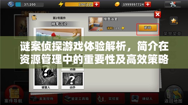 谜案侦探游戏体验解析，简介在资源管理中的重要性及高效策略探讨