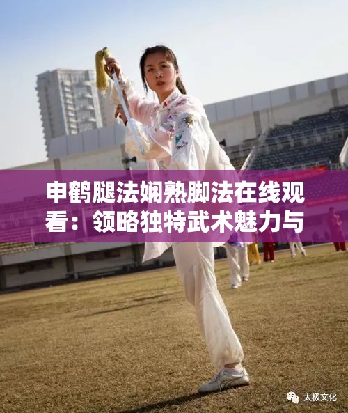 申鹤腿法娴熟脚法在线观看：领略独特武术魅力与技巧精髓