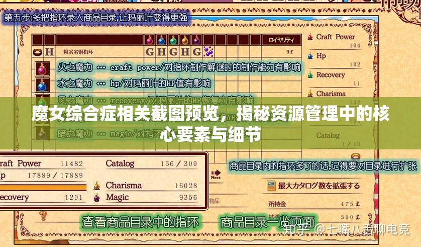 魔女综合症相关截图预览，揭秘资源管理中的核心要素与细节