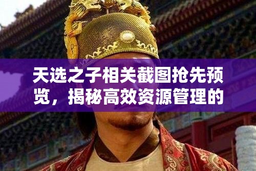 天选之子相关截图抢先预览，揭秘高效资源管理的艺术与实践