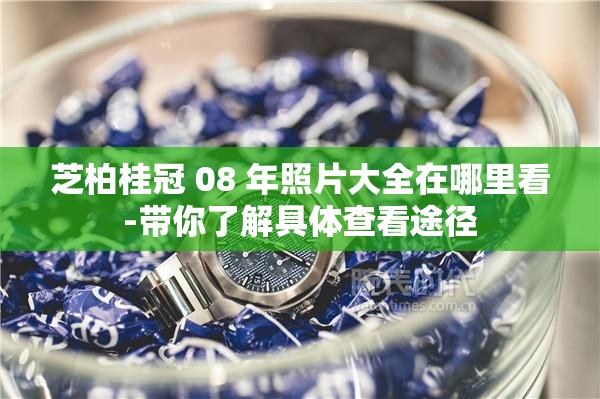 芝柏桂冠 08 年照片大全在哪里看-带你了解具体查看途径