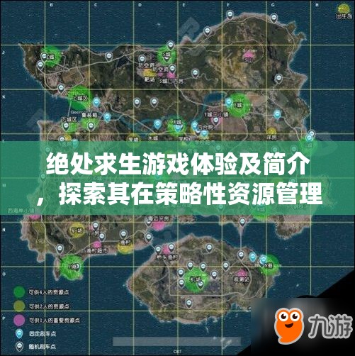 绝处求生游戏体验及简介，探索其在策略性资源管理与生存挑战中的重要性