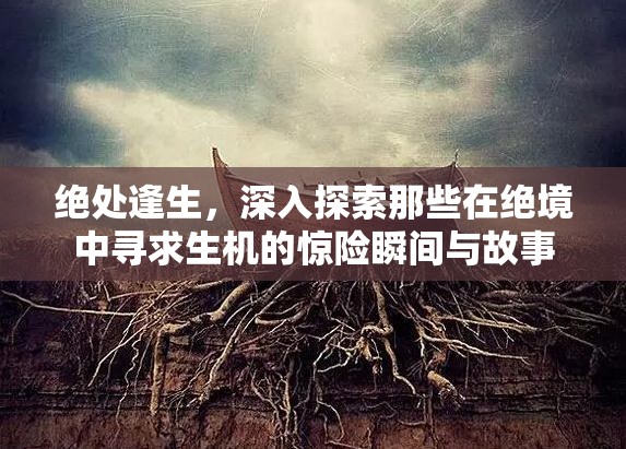 绝处逢生，深入探索那些在绝境中寻求生机的惊险瞬间与故事