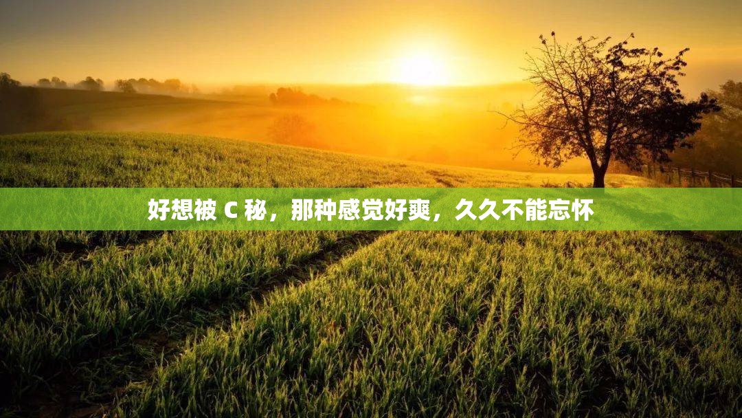 好想被 C 秘，那种感觉好爽，久久不能忘怀