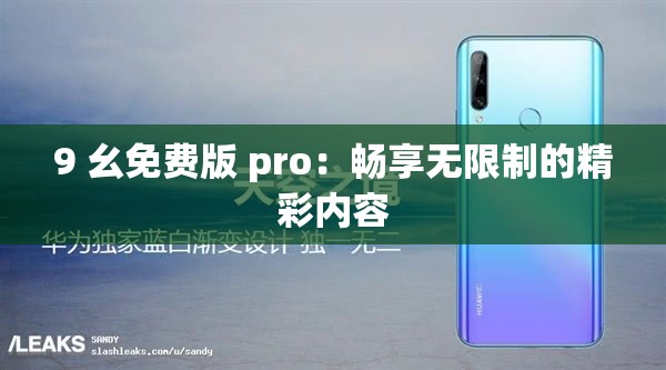 9 幺免费版 pro：畅享无限制的精彩内容