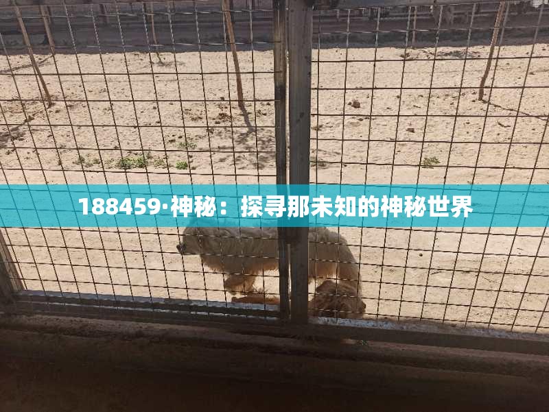 188459·神秘：探寻那未知的神秘世界