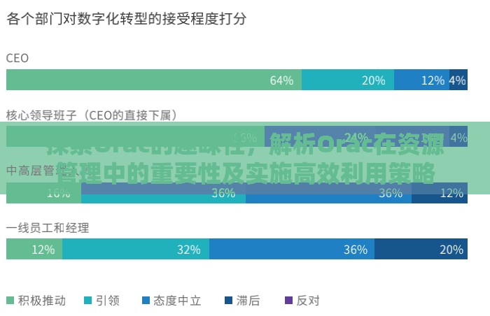 探索Orac的趣味性，解析Orac在资源管理中的重要性及实施高效利用策略