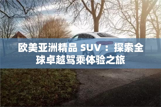 欧美亚洲精品 SUV ：探索全球卓越驾乘体验之旅
