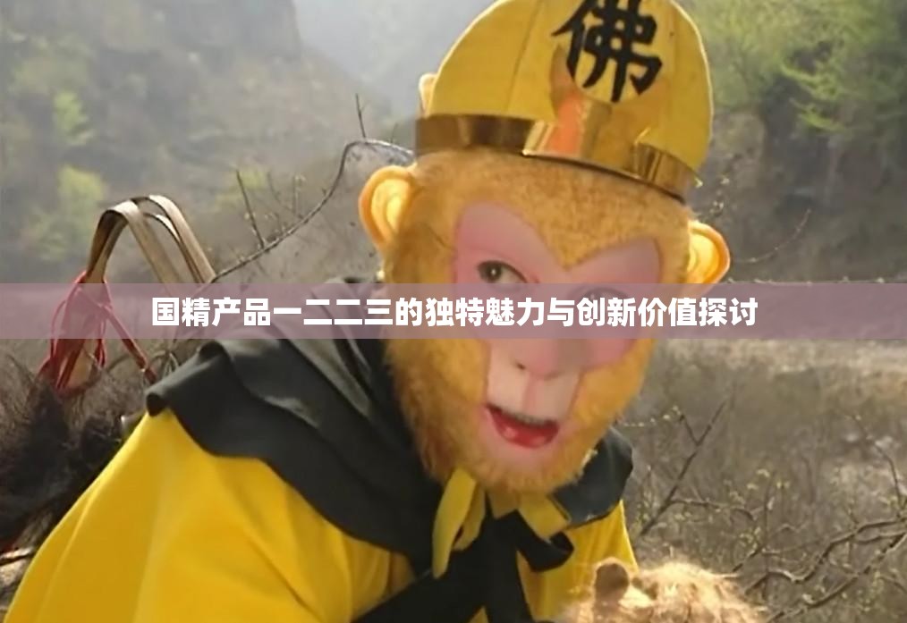 国精产品一二二三的独特魅力与创新价值探讨