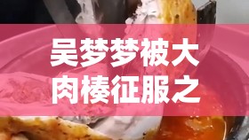 吴梦梦被大肉楱征服之独特经历与感受