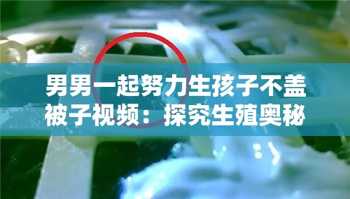 男男一起努力生孩子不盖被子视频：探究生殖奥秘的创新之举