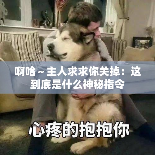 啊哈～主人求求你关掉：这到底是什么神秘指令
