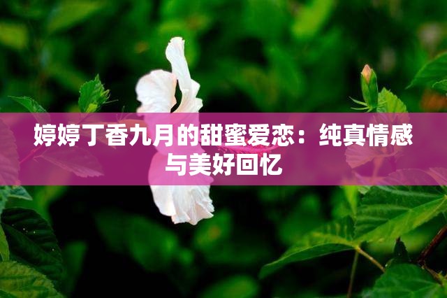婷婷丁香九月的甜蜜爱恋：纯真情感与美好回忆