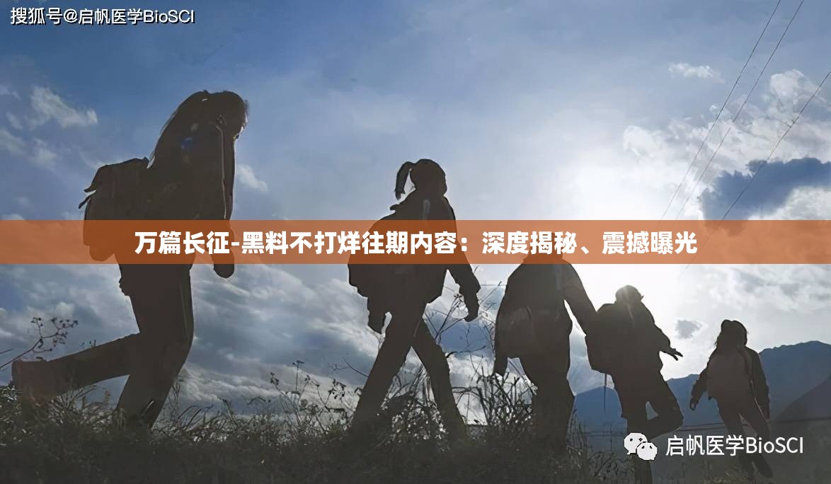 万篇长征-黑料不打烊往期内容：深度揭秘、震撼曝光