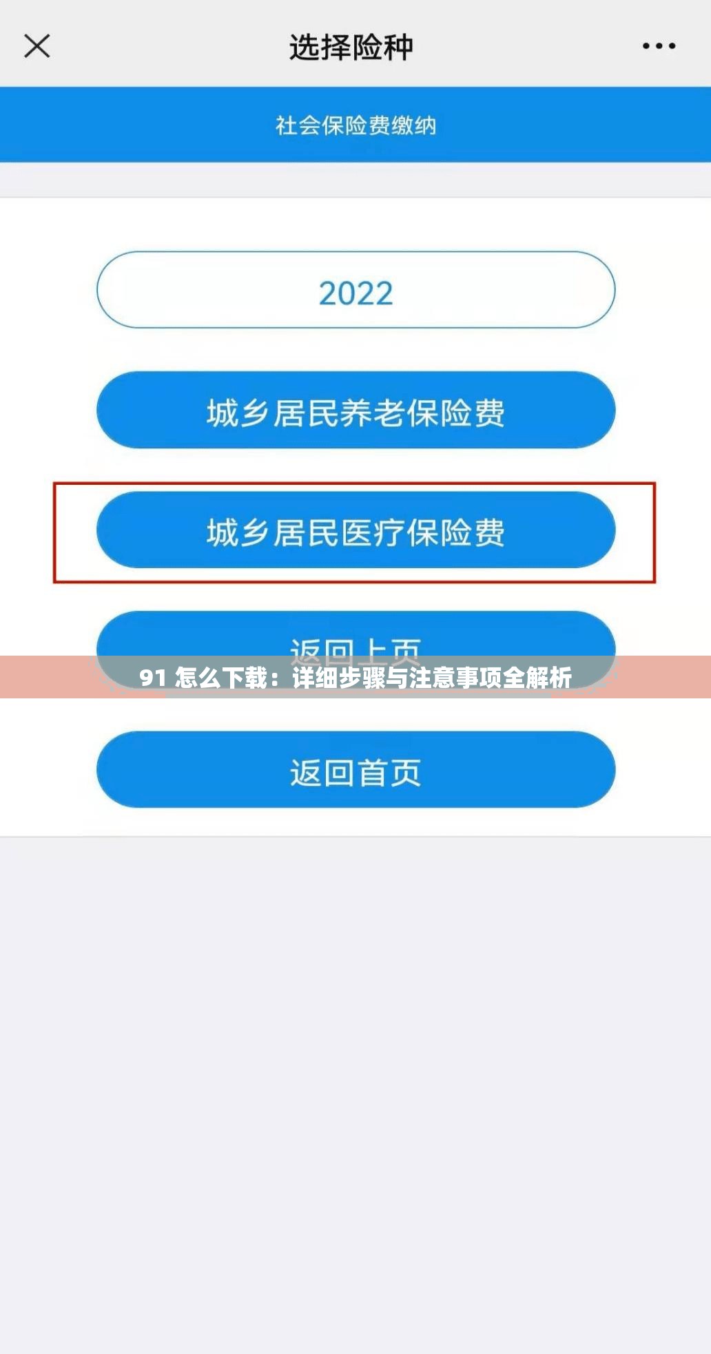 91 怎么下载：详细步骤与注意事项全解析