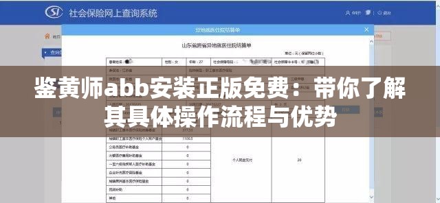 鉴黄师abb安装正版免费：带你了解其具体操作流程与优势