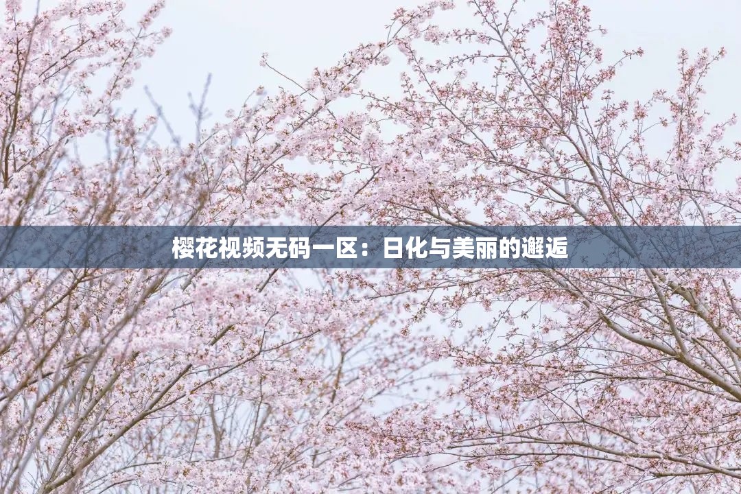 樱花视频无码一区：日化与美丽的邂逅