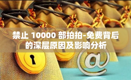 禁止 10000 部拍拍-免费背后的深层原因及影响分析