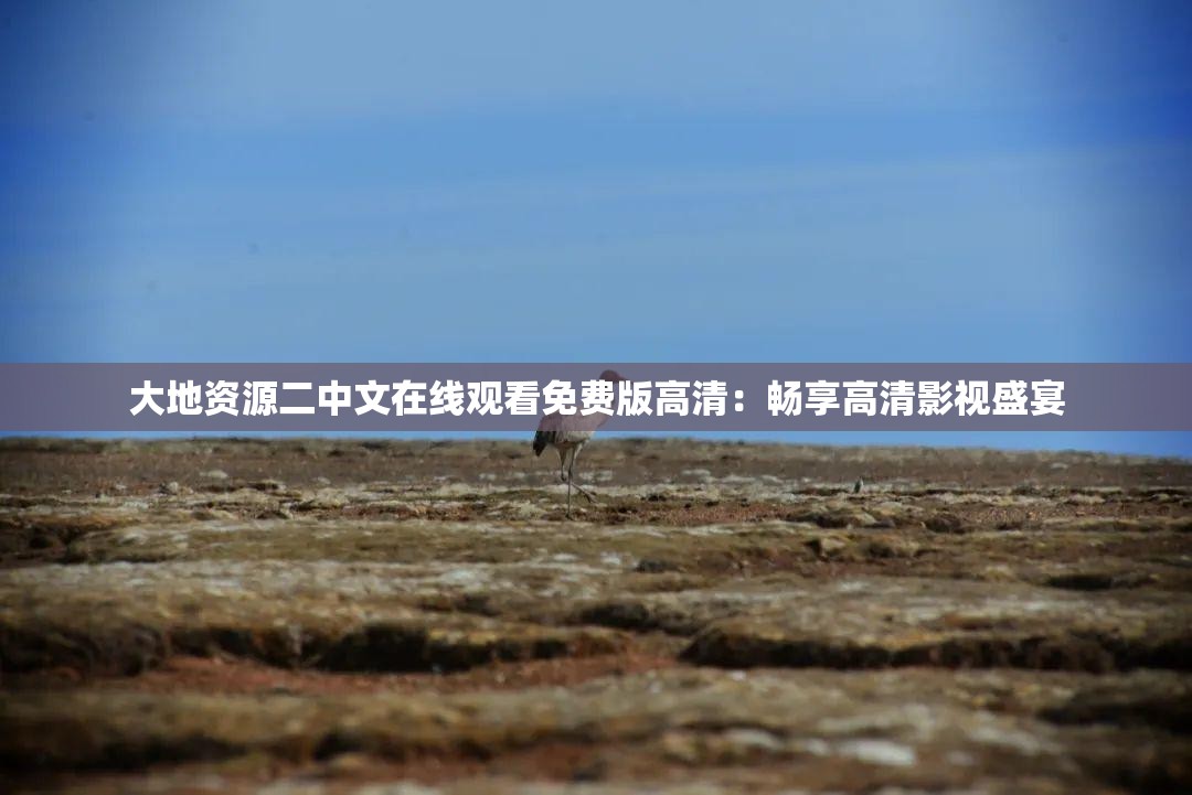 大地资源二中文在线观看免费版高清：畅享高清影视盛宴