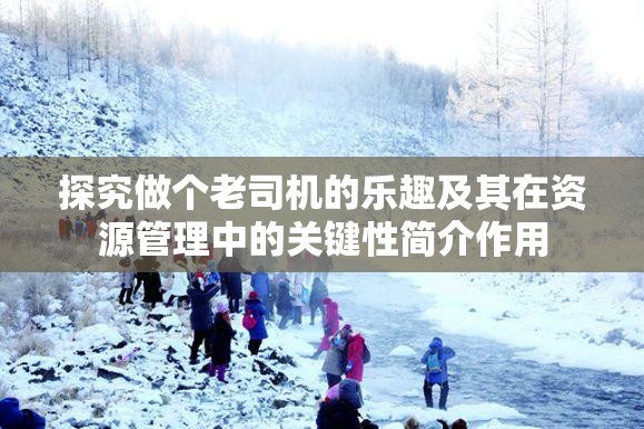 探究做个老司机的乐趣及其在资源管理中的关键性简介作用