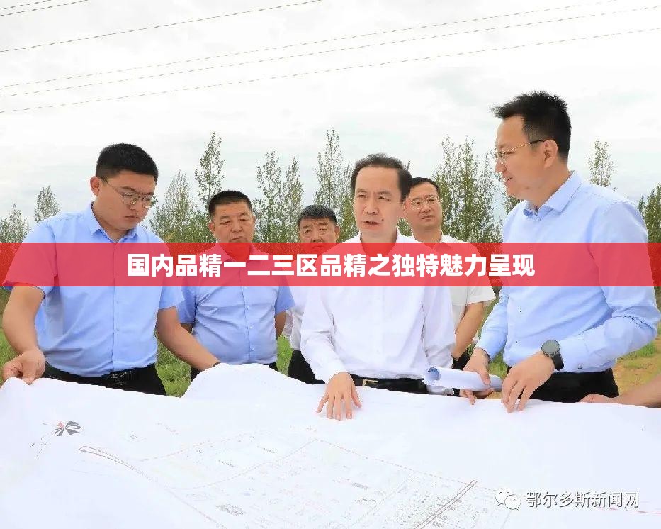 国内品精一二三区品精之独特魅力呈现