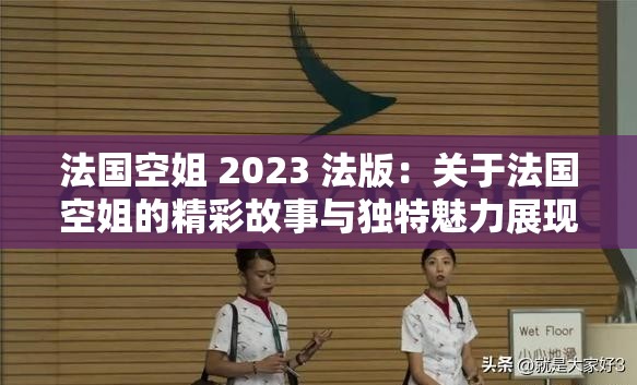 法国空姐 2023 法版：关于法国空姐的精彩故事与独特魅力展现