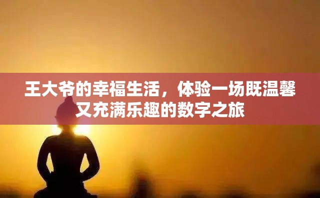 王大爷的幸福生活，体验一场既温馨又充满乐趣的数字之旅