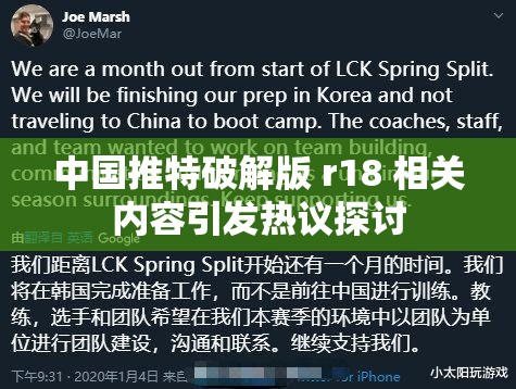 中国推特破解版 r18 相关内容引发热议探讨