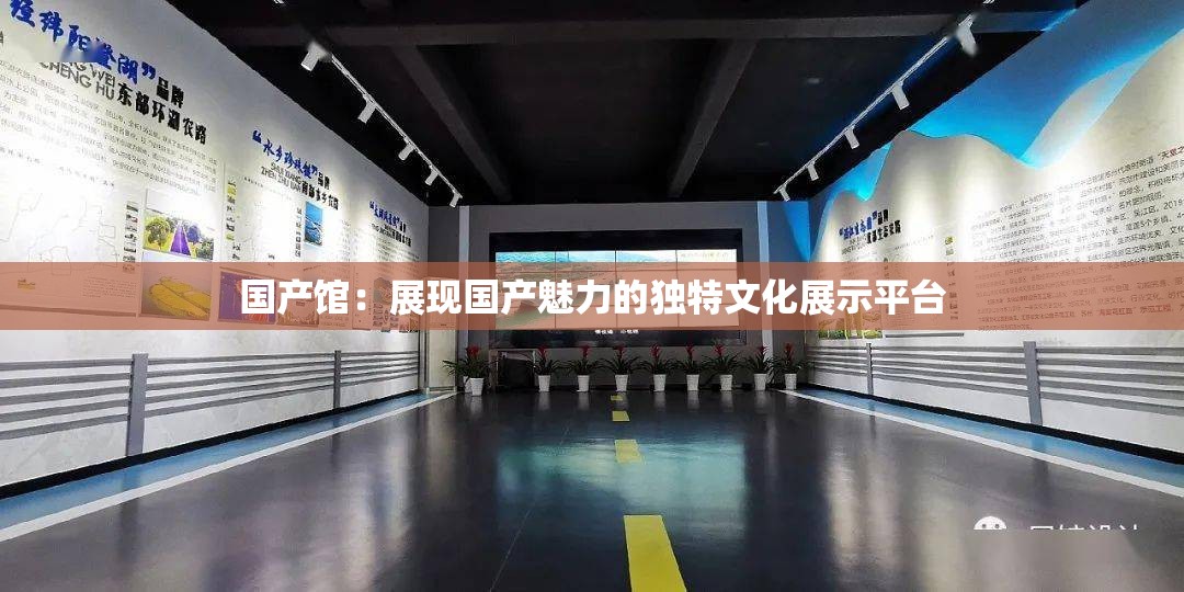 国产馆：展现国产魅力的独特文化展示平台