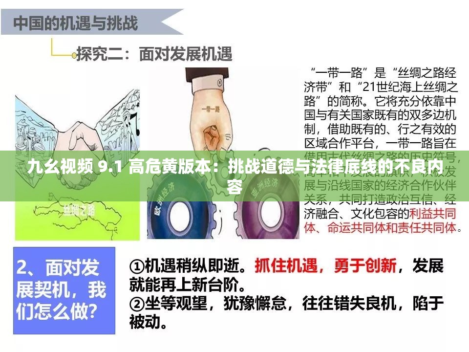 九幺视频 9.1 高危黄版本：挑战道德与法律底线的不良内容