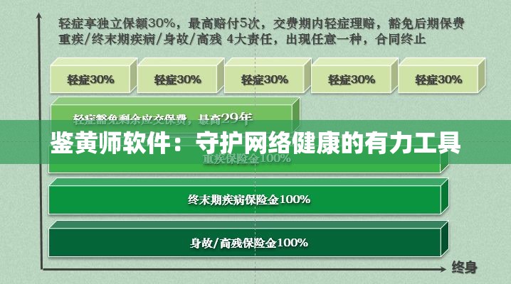 鉴黄师软件：守护网络健康的有力工具