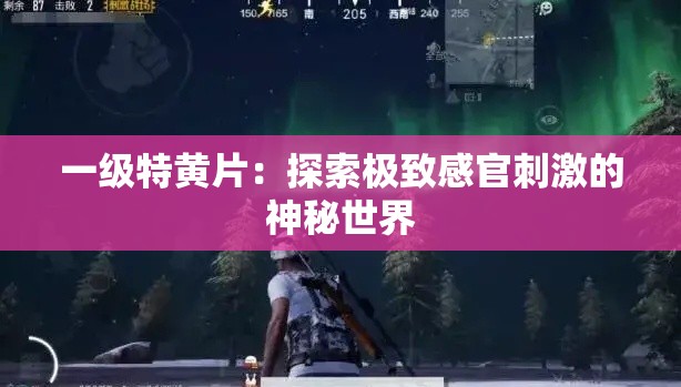 一级特黄片：探索极致感官刺激的神秘世界