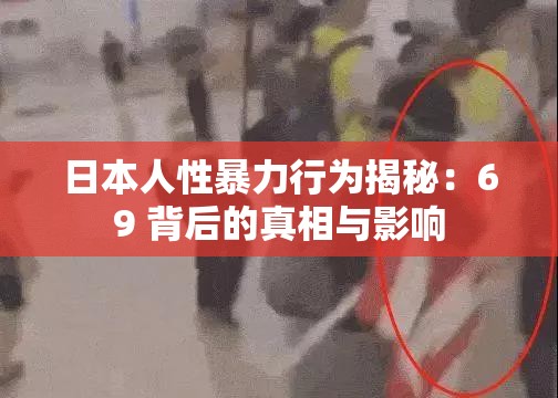 日本人性暴力行为揭秘：69 背后的真相与影响