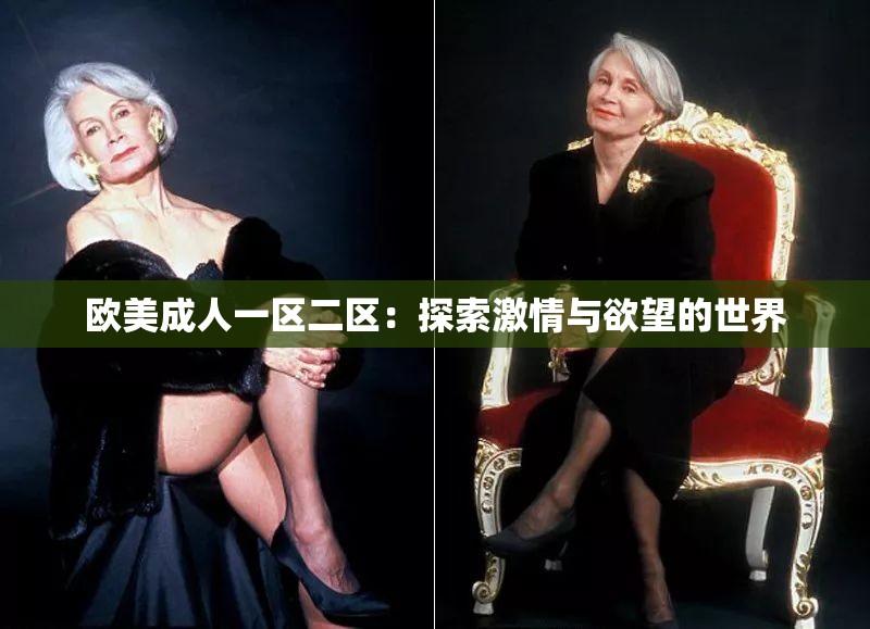 欧美成人一区二区：探索激情与欲望的世界