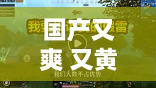 国产又爽 又黄 免费视频：刺激感官的视觉盛宴