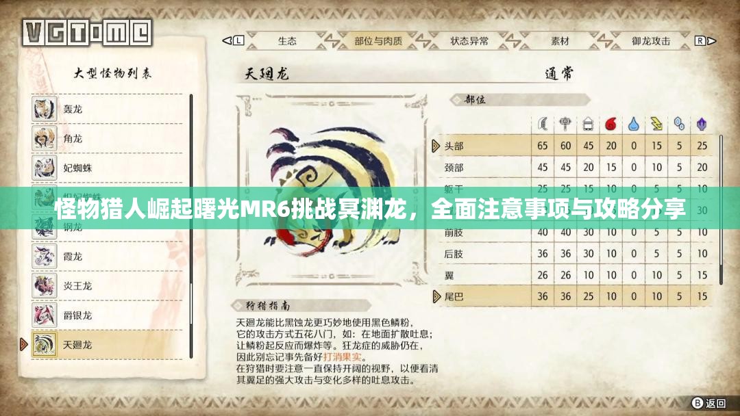 怪物猎人崛起曙光MR6挑战冥渊龙，全面注意事项与攻略分享