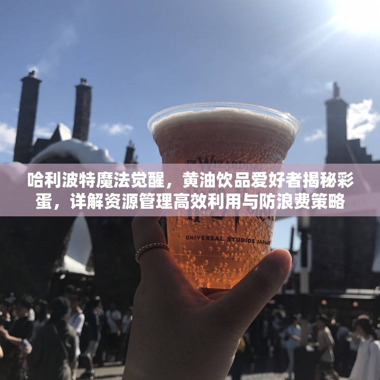 哈利波特魔法觉醒，黄油饮品爱好者揭秘彩蛋，详解资源管理高效利用与防浪费策略