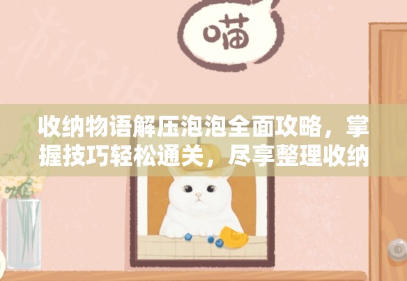 收纳物语解压泡泡全面攻略，掌握技巧轻松通关，尽享整理收纳的乐趣时光