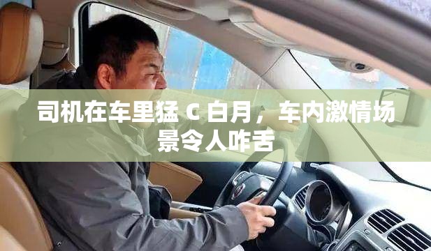 司机在车里猛 C 白月，车内激情场景令人咋舌