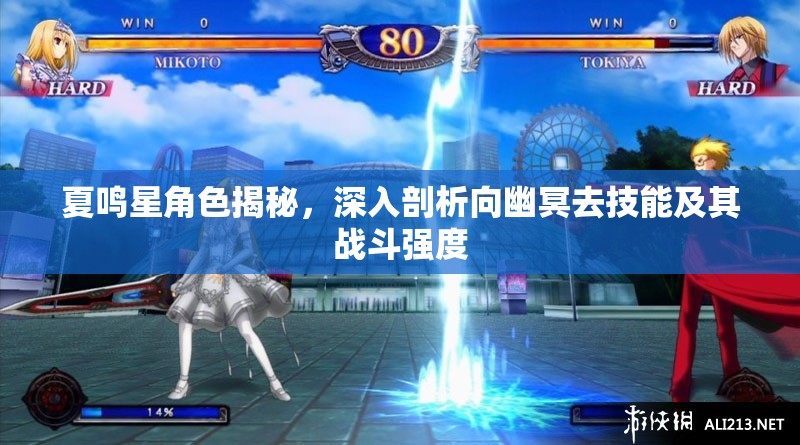 夏鸣星角色揭秘，深入剖析向幽冥去技能及其战斗强度