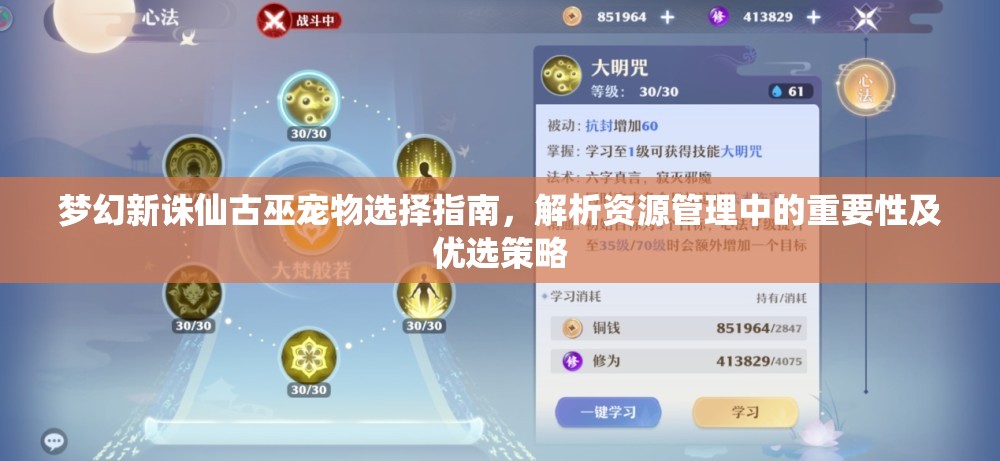 梦幻新诛仙古巫宠物选择指南，解析资源管理中的重要性及优选策略
