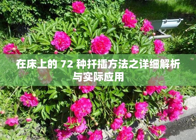 在床上的 72 种扦插方法之详细解析与实际应用